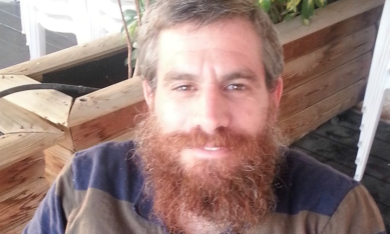 דווקא עכשיו: זה הזמן של התורה לצאת מהארון