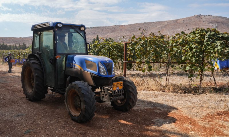 30 רקטות נורו לגליל התחתון: 9 פצועים מפגיעה במטע זיתים