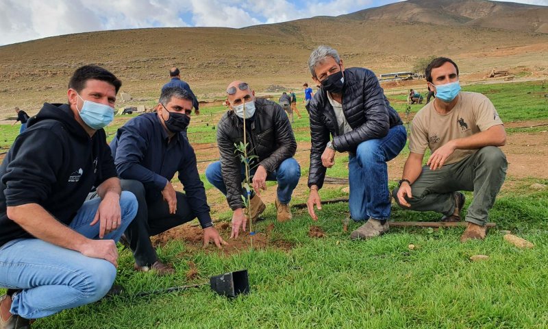 ח"כ סופר: ט"ו בשבט מסמל את החיבור לאדמת ישראל