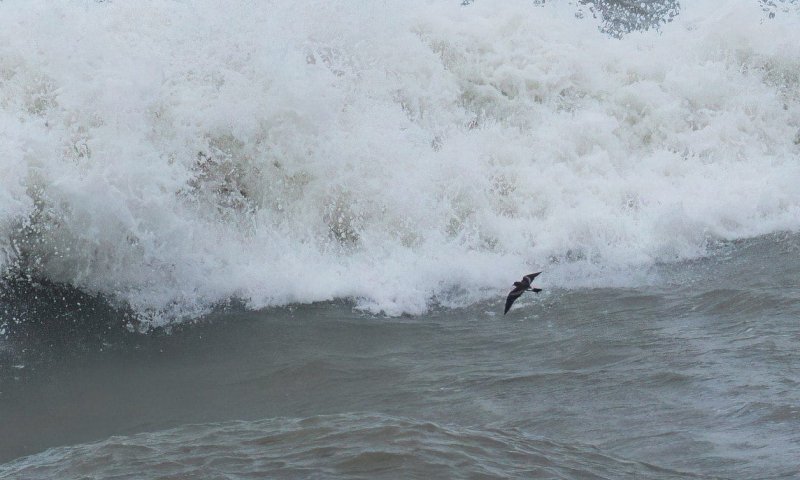 פעם ב-25 שנה: התופעה הנדירה שהגיעה עם ברברה