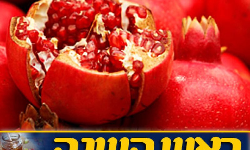 תזכורת: לא לשכוח לעשות עירוב תבשילין