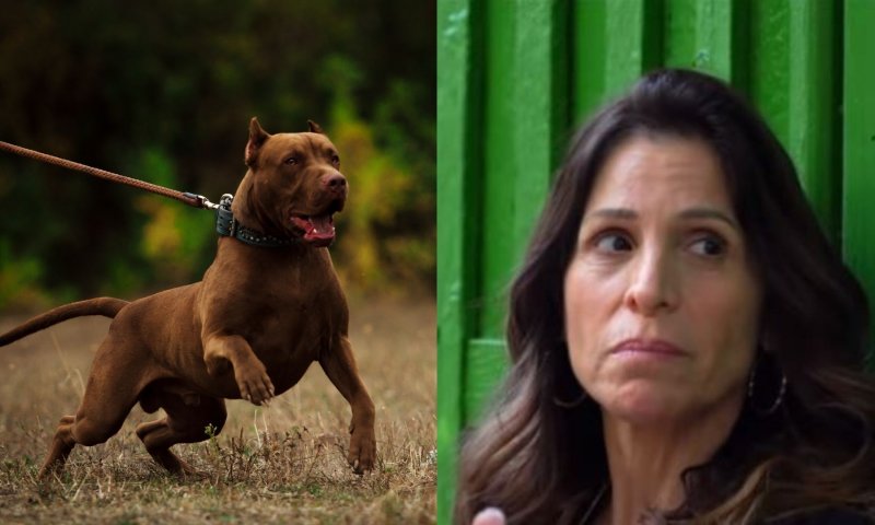 גם אורנה בנאי מגנה על הפיטבול שהרג תינוקת: "בכלבים אין רוע"