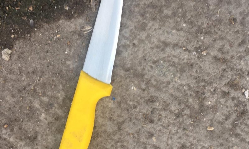 חולון: צעיר דקר את אביו ואחיו