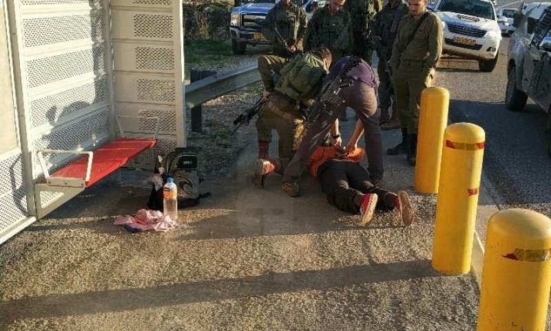 פיגוע דקירה בצמת שילה &bull; המחבלת נוטרלה