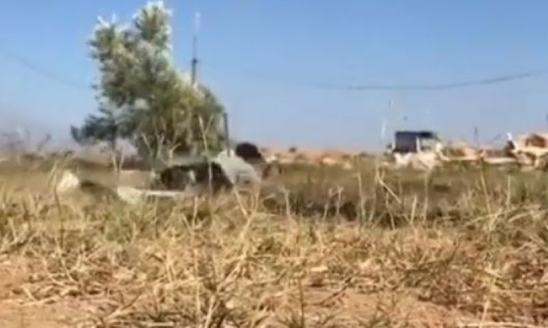 צפו: צה"ל יורה, המחבלים נמלטים בזחילה