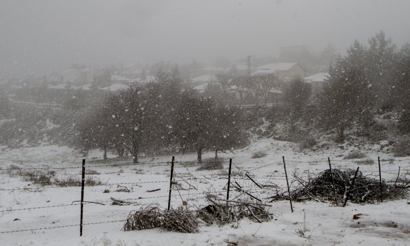 רק לקנא: בצפון יורד שלג כבד שמכסה הכל בלבן