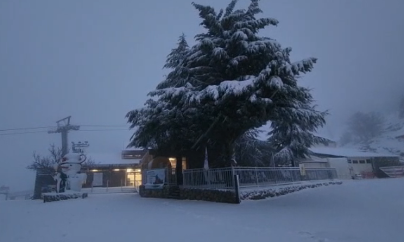 הסערה כבר פה: שלג, גשם ורוחות חזקות. צפו בתיעוד