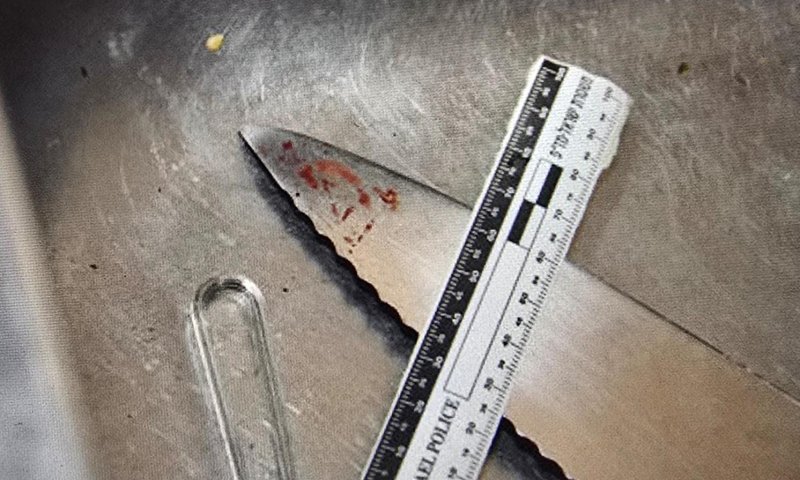 אישה דקרה את בן זוגה ואיימה לרצוח אותו: "הילדים יראו את זה"