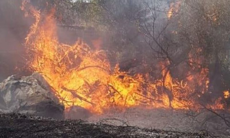 השריפה באורנית: האש מתקרבת למרכז מסחרי; החשמל נותק