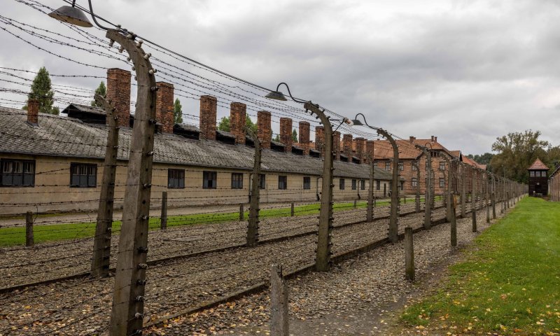 יום השואה תשפ״ה: 3 ניצולים עלו לישראל בשנה האחרונה