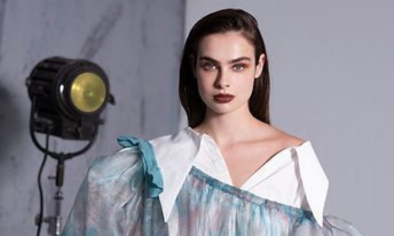 סיפורי אגדות ואימוץ מווייטנאם: תצוגת הגמר של שנקר