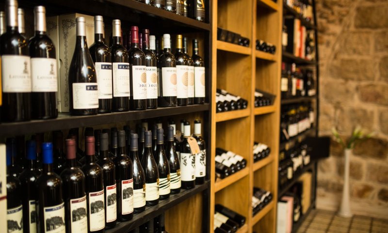 אור רייכרט לוגם: חייב איניש לדעת לשתות יין בפורים