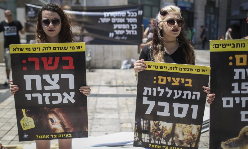 מדוע רק שמאלנים פעילים למען זכויות בעלי חיים?