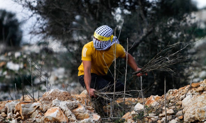 חמישה ערבים יידו בקבוקי תבערה בעיר דוד &ndash; ונתפסו