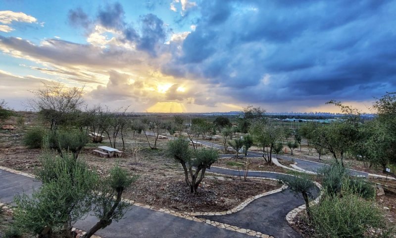 ירידה בטמפ'; גשם, רעמים ושטפונות: תחזית מזג אוויר