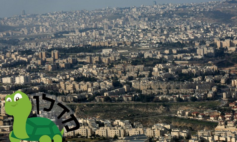 השכונות המבוקשות ביותר לשנת תשע"ו