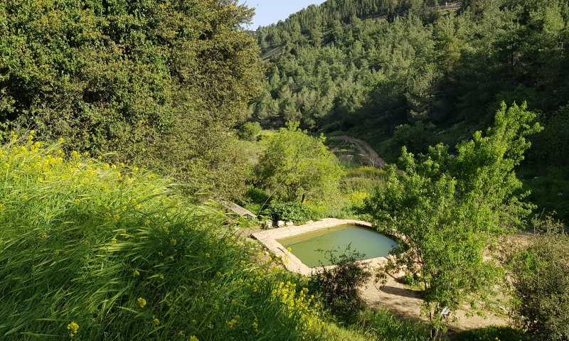 "בסוכות תטיילו שבעת ימים"