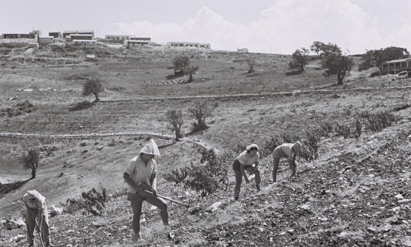 היום בהיסטוריה: חלל נצר אחרון הצעיר ביותר