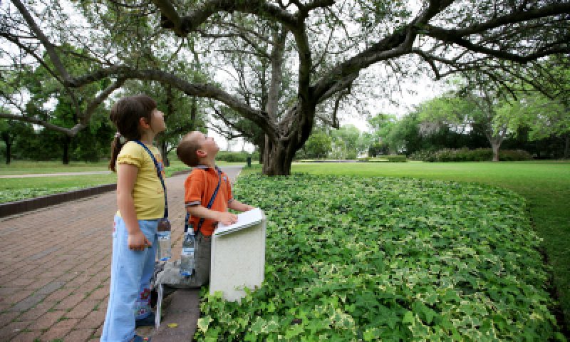 בית הלל יוצאים בקריאה לשנות את הגינון הציבורי לקראת השמיטה