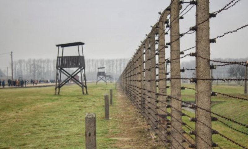 ארה"ב: "ללמד גם את הגישה ההפוכה על השואה"