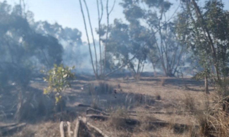 חשד להצתה מבלון תבערה: שריפה פרצה ביער בארי