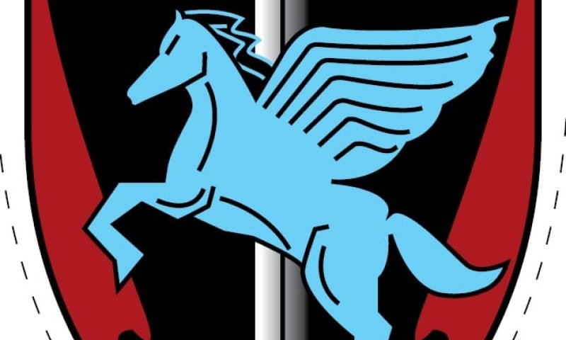 הוא משלנו: אור רייכרט עיצב את התג לגדוד החדש של צה"ל