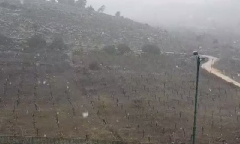 שלג יורד בהר חברון; מוסדות החינוך טרם נפתחו. צפו