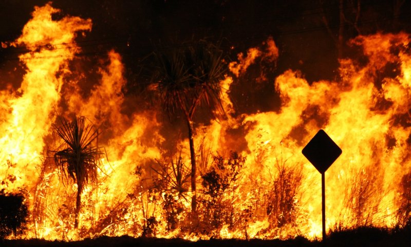גל השריפות באוסטרליה: 25 הרוגים, אלפי בניינים ניזוקו