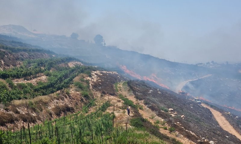 שריפה ליד ליד יצהר, התחדשה האש ליד שורש