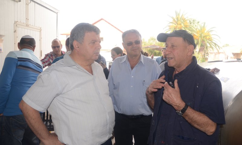 כלפה: "התנועה ניסו להכניס סעיף שישאיר פתח לגיור רפורמי"