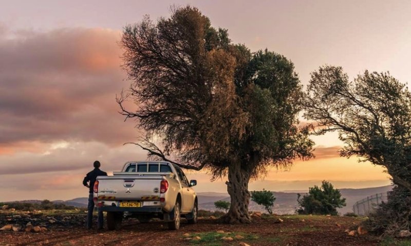 המאבקים ברעשים מהכפר הבדואי הפכו לספר מרתק