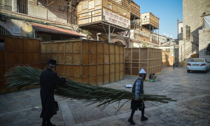 קצר וקולע: שו"ת מקיף ומקוצר לבניית הסוכה
