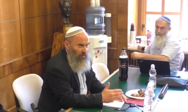 צפו: למה מותר לגייר קטינים גם ללא האמא?