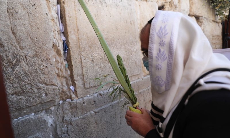 חג הסוכות &ndash; הזדמנות לגרש את הקורונה! צפו: