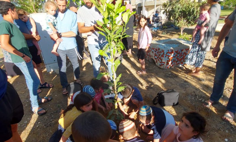 שתילים של תקוה: הילדים שתלו בבורות הפצמ"רים