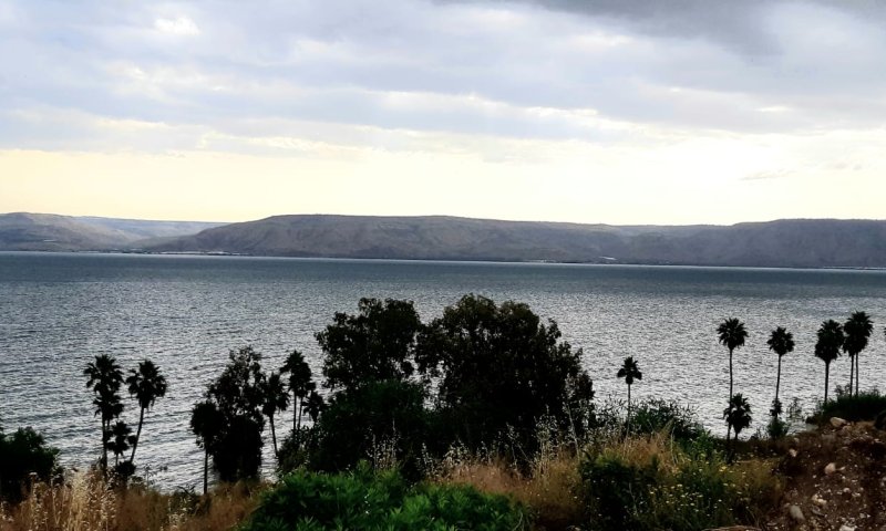 מפלס הכנרת שומר על יציבות