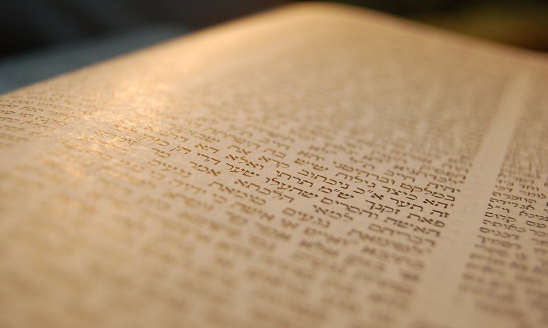 דף יומי מסכת נידה דף כה