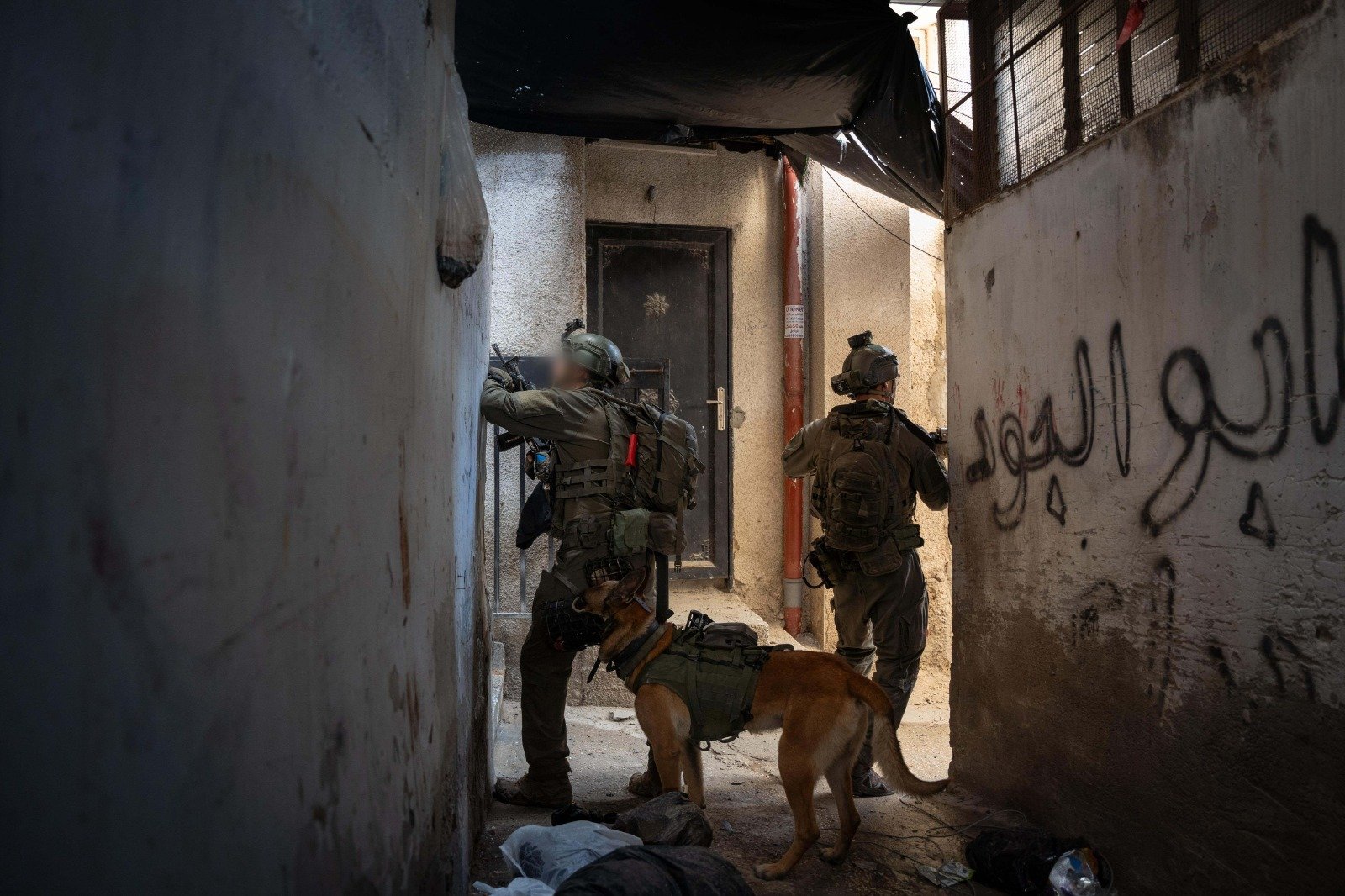 יהודה ושומרון (צילום: דובר צה