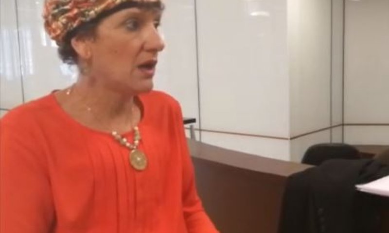 למה בעצם הבית היהודי מתנגד ל'חוק הצרפתי'?