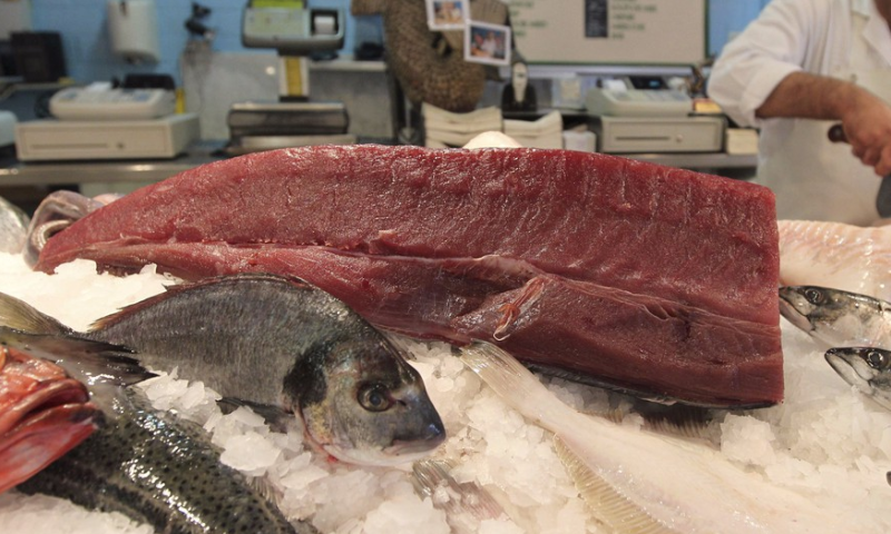 קשה לצפייה: הדבר הכי מפחיד בדגים טריים קרה