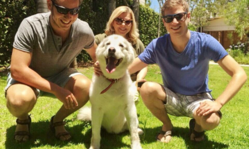 יאיר נתניהו מסעיר את הרשת בגלל הכלבה קאיה