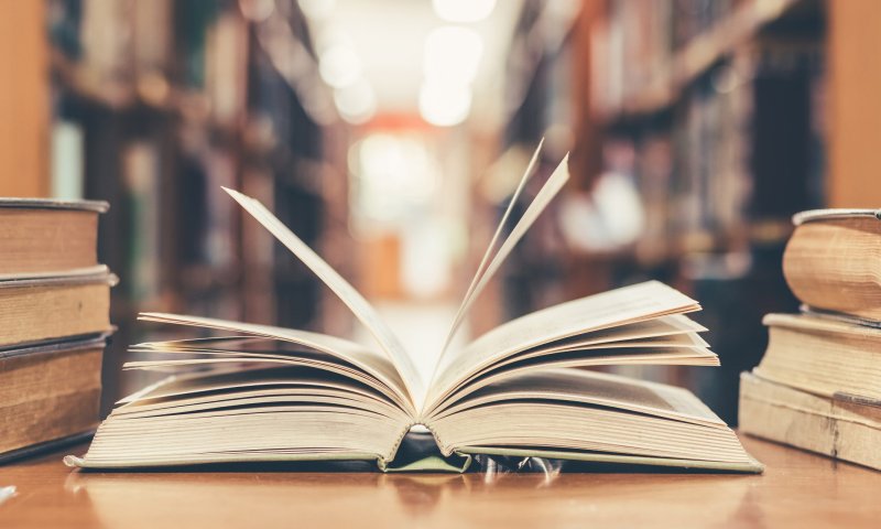 "סולם גנבים" הוא הספר הכי טוב שקראתי השנה | ביקורת ספרים