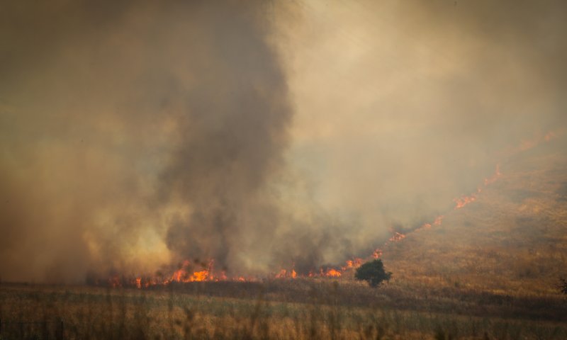בחודש וחצי: עשרות שריפות ביו"ש הוגדרו כהצתות טרור