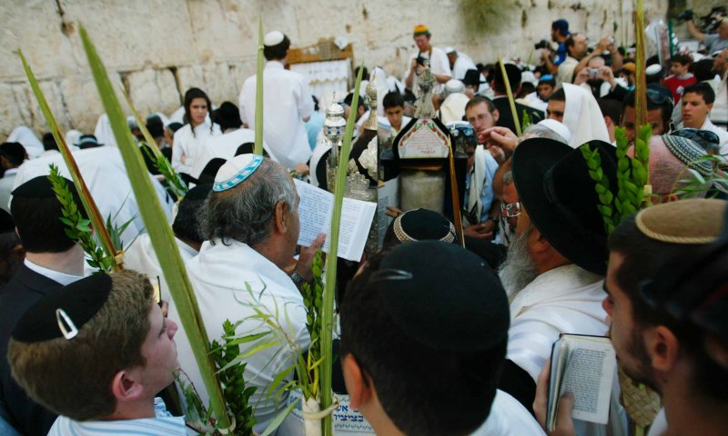 אחדות ארבעת המינים, אחדות עם ישראל