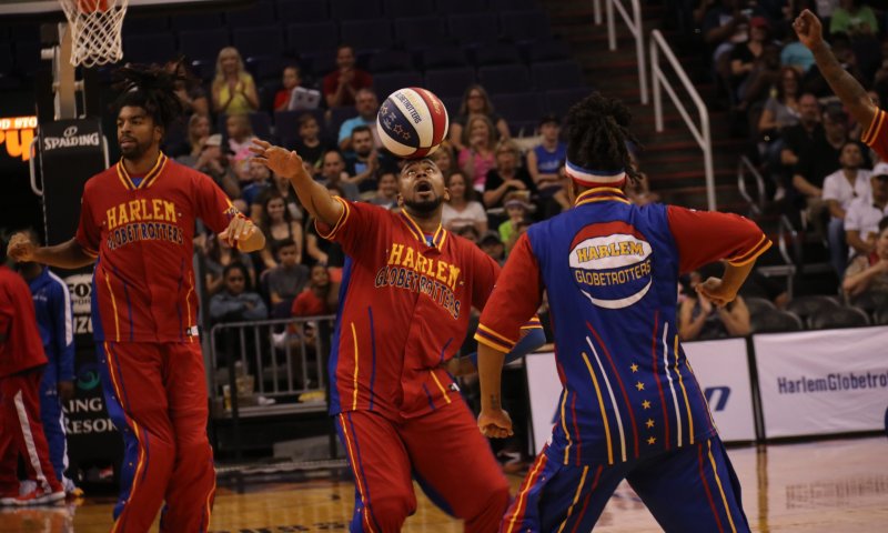 בין קודש לספורט | פרשת שמיני: לשחק בתוך החוקים