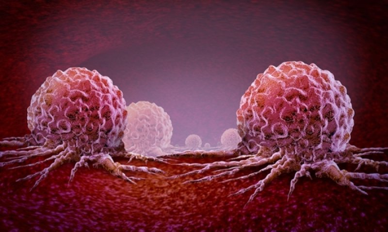 הסוף לסרטן? התגלית הבלתי תיאמן שמשנה את פני הרפואה בעולם