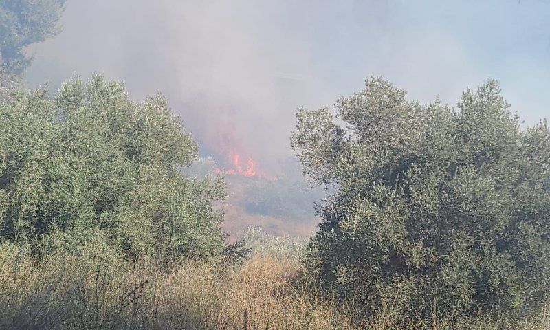 ההצתה בהר הצופים: שני ערבים נעצרו בחשד למעשה