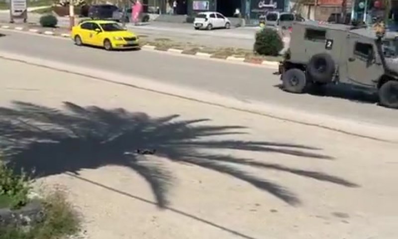 כוחות מיוחדים פועלים בג'נין; המחבלים השיבו באש