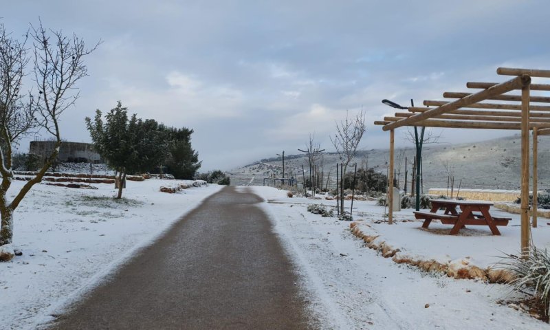 צפו: שלג קל בירושלים, בגליל התעוררו לבוקר לבן