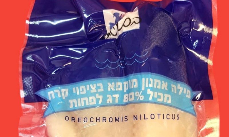 חברת הדגים קוראת לאסוף את הדג האהוב